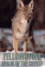 Watch Yellowstone: Realm of the Coyote 2KMovies