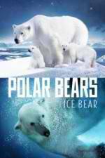 Watch Polar Bears Ice Bear 2KMovies