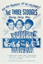 Watch Rumpus in the Harem 2KMovies