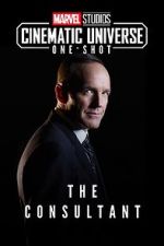 Watch Marvel One-Shot: The Consultant 2KMovies