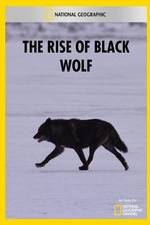 Watch The Rise of Black Wolf 2KMovies