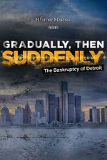 Watch Gradually, Then Suddenly: The Bankruptcy of Detroit 2KMovies