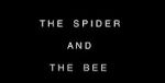 Watch The Spider and the Bee 2KMovies