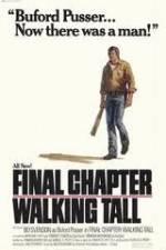 Watch Final Chapter Walking Tall 2KMovies