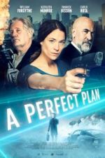 Watch A Perfect Plan 2KMovies