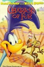 Watch Ready Woolen and Able 2KMovies