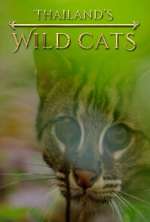 Watch Thailand's Wild Cats 2KMovies