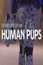 Watch Secret Life of the Human Pups 2KMovies