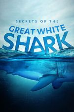 Watch Secrets of the Great White Shark 2KMovies