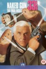 Watch Naked Gun 33 1/3: The Final Insult 2KMovies