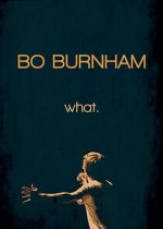 Watch Bo Burnham: what. (TV Special 2013) 2KMovies