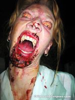 Watch Dracula\'s Sorority Sisters 2KMovies