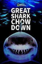 Watch Great Shark Chow Down 2KMovies