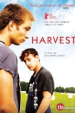 Watch Harvest 2KMovies