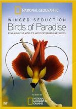 Watch Winged Seduction: Birds of Paradise 2KMovies