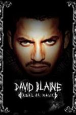 Watch David Blaine: Real or Magic 2KMovies