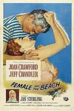 Watch Female on the Beach 2KMovies