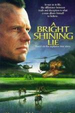 Watch A Bright Shining Lie 2KMovies