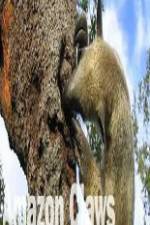 Watch National Geographic Wild Amazon Claws 2KMovies