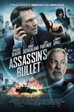 Watch Assassin's Bullet 2KMovies