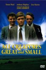Watch All Creatures Great and Small 2KMovies