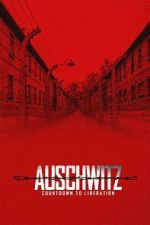 Watch Auschwitz: Countdown to Liberation 2KMovies