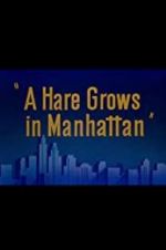 Watch A Hare Grows in Manhattan 2KMovies