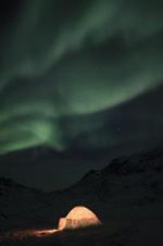 Watch The Last Igloo 2KMovies