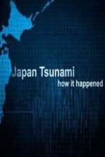 Watch Japan Tsunami: How It Happened 2KMovies