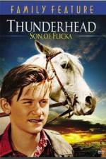 Watch Thunderhead - Son of Flicka 2KMovies