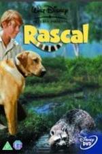 Watch Rascal 2KMovies