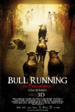 Watch Encierro 3D: Bull Running in Pamplona 2KMovies