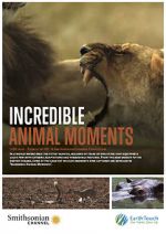 Watch Incredible Animal Moments 2KMovies