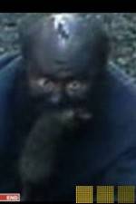 Watch The Legend of Catman 2KMovies