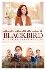 Watch Blackbird 2KMovies