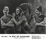 Watch A Ray of Sunshine: An Irresponsible Medley of Song and Dance 2KMovies
