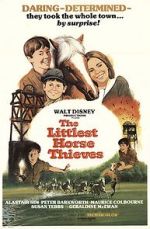 Watch The Littlest Horse Thieves 2KMovies