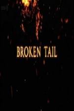 Watch A Tiger Called Broken Tail 2KMovies