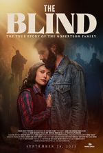 Watch The Blind 2KMovies