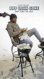Watch PPP Loan Gone 2KMovies