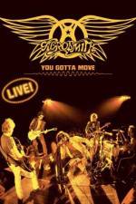 Watch Aerosmith You Gotta Move 2KMovies