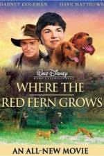 Watch Where the Red Fern Grows 2KMovies
