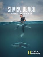 Watch Shark Beach with Chris Hemsworth (TV Special 2021) 2KMovies