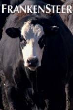 Watch Frankensteer 2KMovies