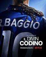 Watch Baggio: The Divine Ponytail 2KMovies