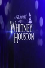 Watch We Will Always Love You A Grammy Salute to Whitney Houston 2KMovies