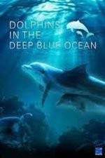Watch Dolphins in the Deep Blue Ocean 2KMovies