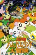 Watch Hamtaro: Adventures in Ham-Ham Land 2KMovies