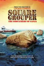 Watch Square Grouper 2KMovies