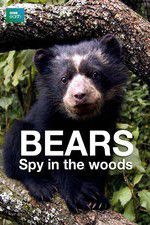 Watch Bears: Spy in the Woods 2KMovies